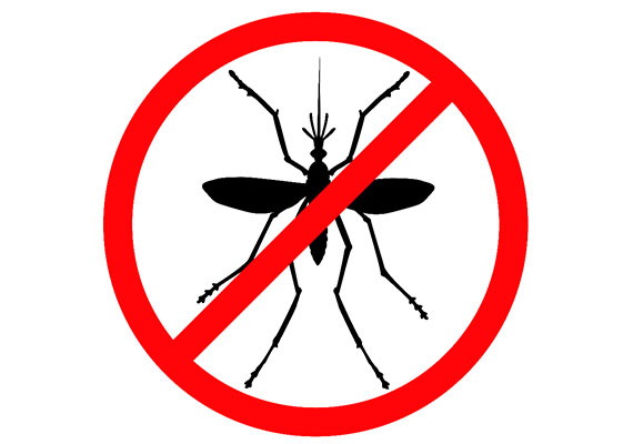 World Malaria Day: