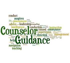 Guidance and Counseling for School Care