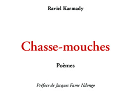 Culture : Raviel Karmady abat son « Chasse-mouches »